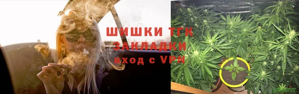 ГАЛЛЮЦИНОГЕННЫЕ ГРИБЫ Бугульма