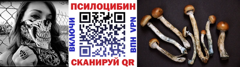 Галлюциногенные грибы прущие грибы  Купить  Кувандык 